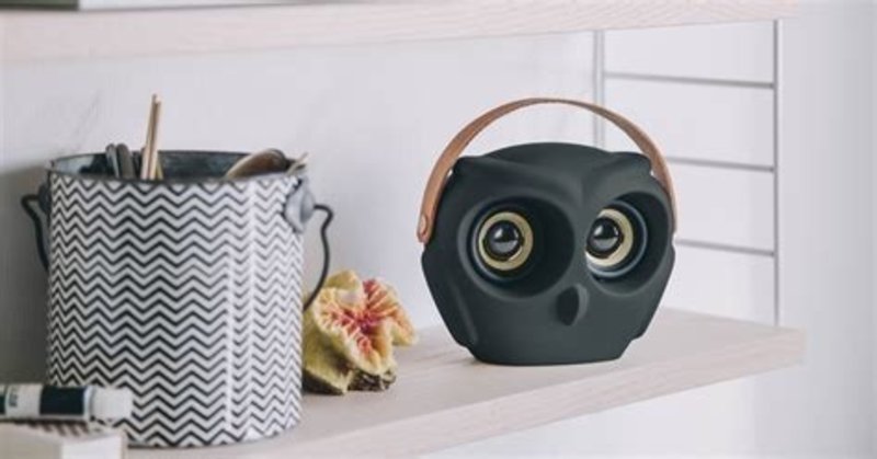 Kreafunk aOwl, Speaker - black