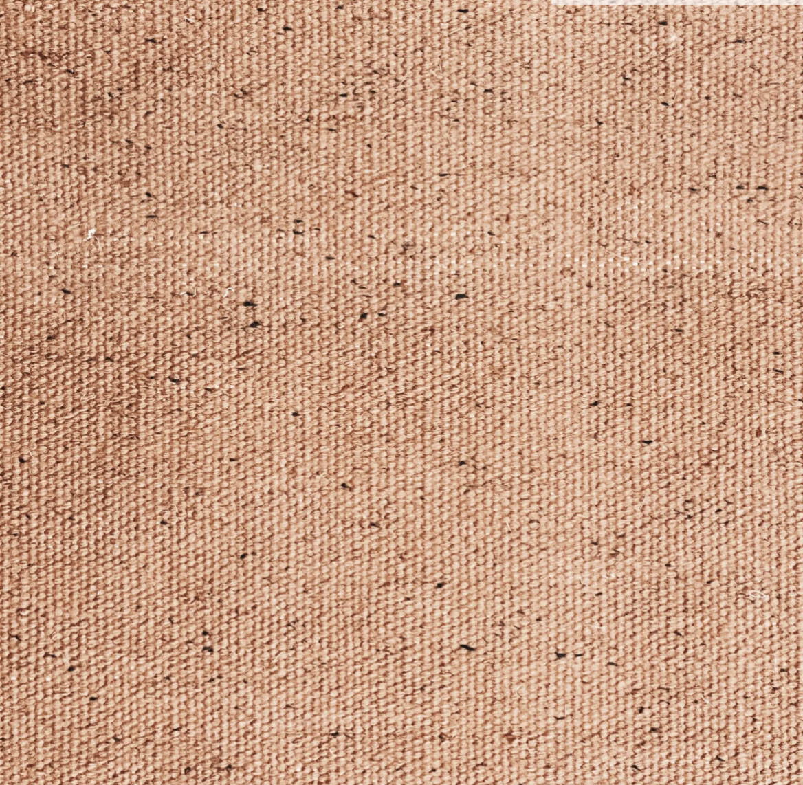 PAJU Outdoor Rug 140 x 200 cm