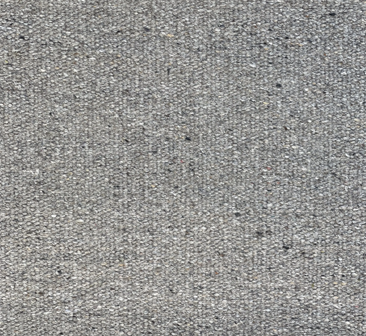 PAJU Outdoor Rug 300 x 400 cm