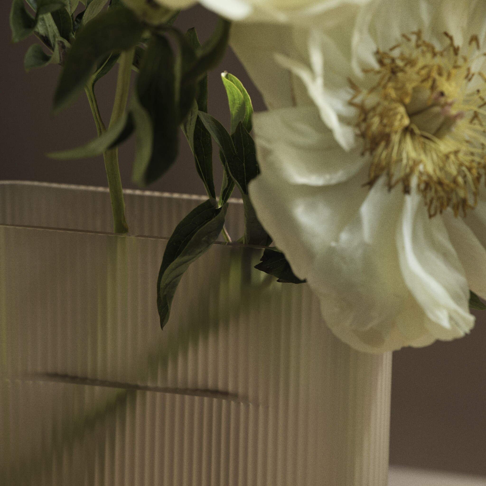 Muuto Ridge Vase - H16,5 Frosted