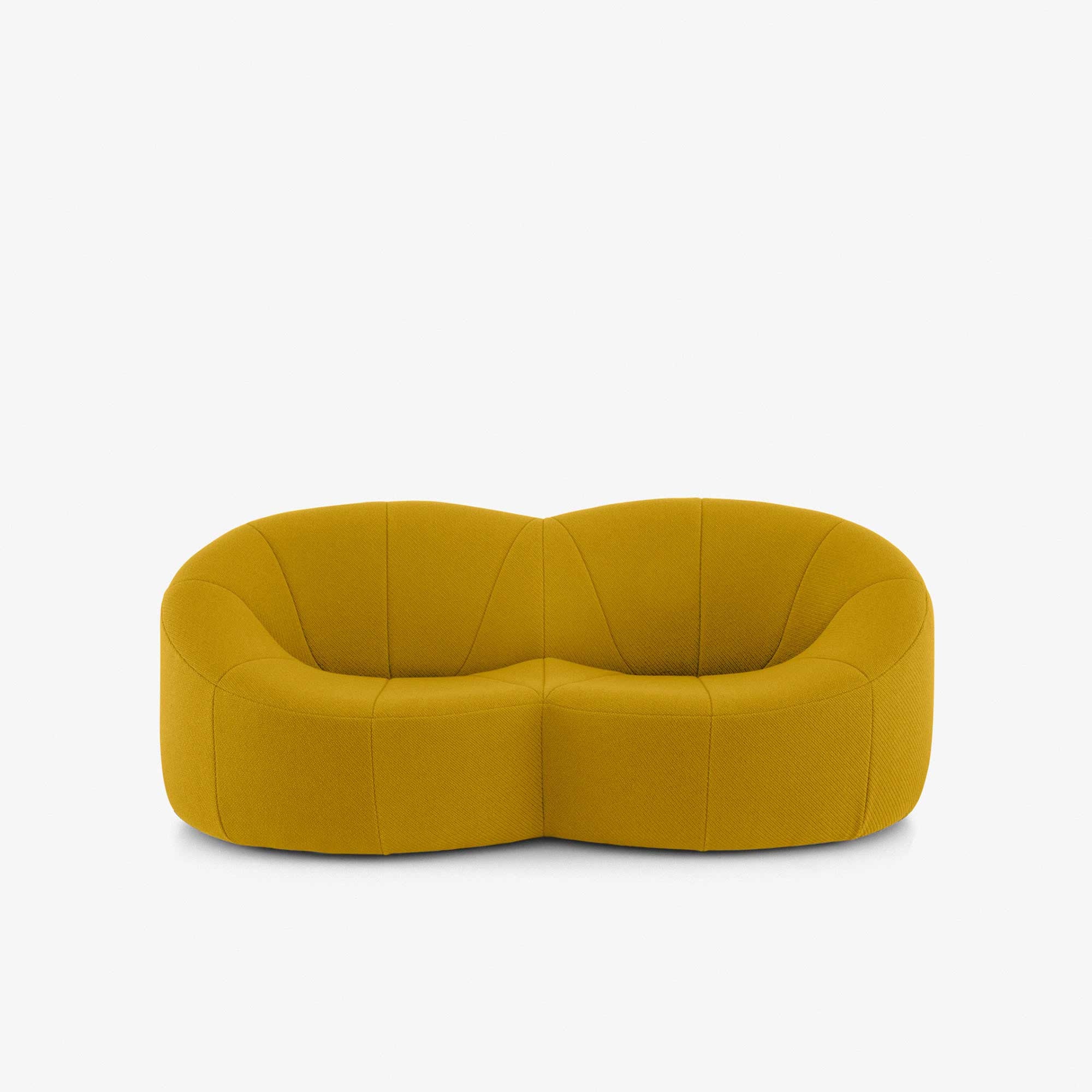 Ligne Roset Pumpkin Loveseat - Coda Safran