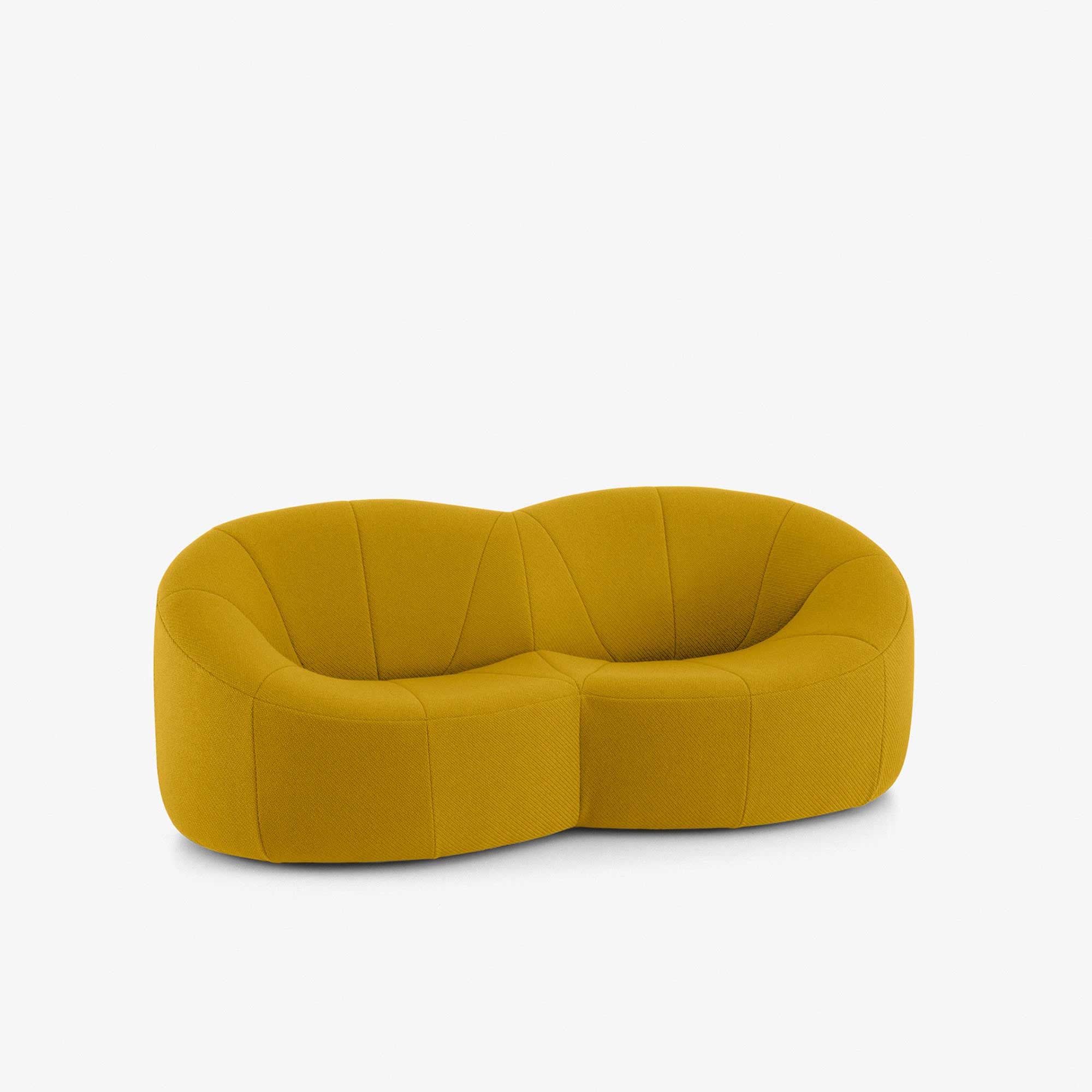 Ligne Roset Pumpkin Loveseat - Coda Safran