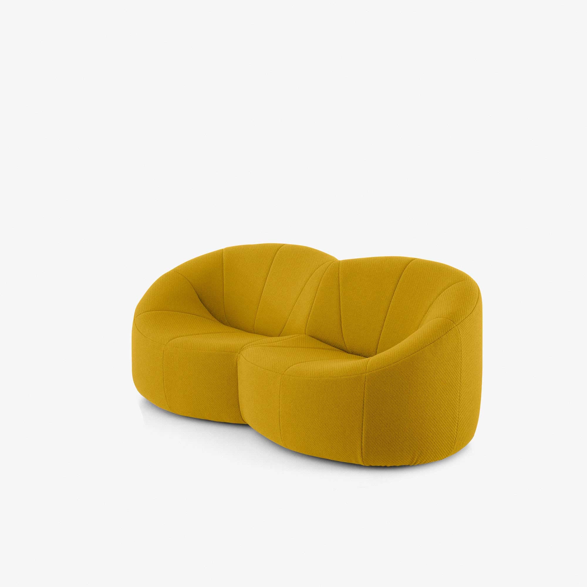 Ligne Roset Pumpkin Loveseat - Coda Safran