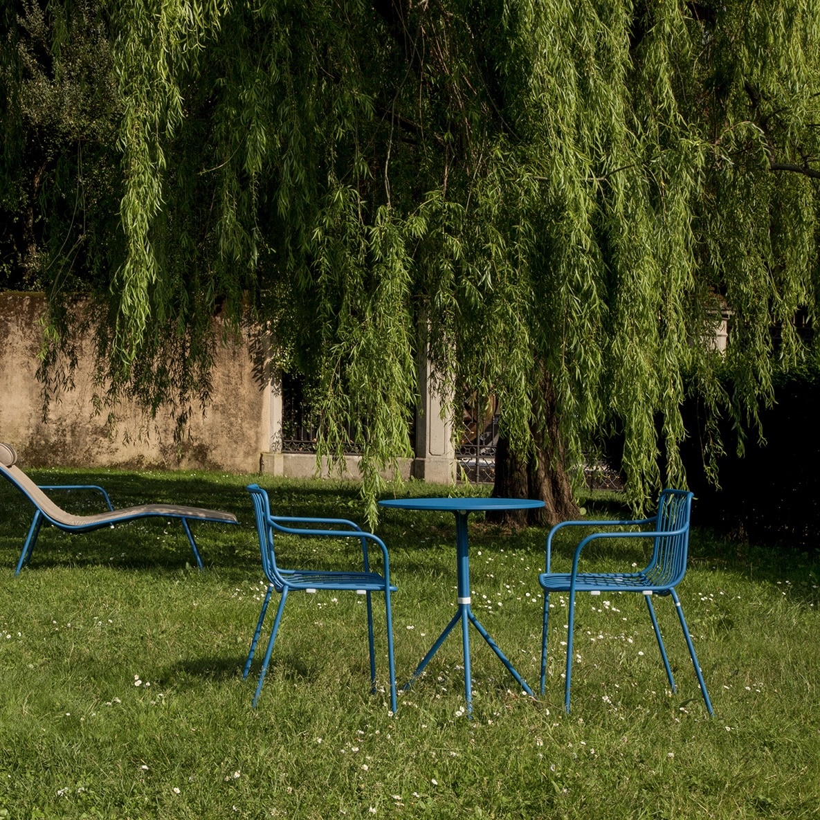 Pedrali Chair NOLITA 3650 with low back