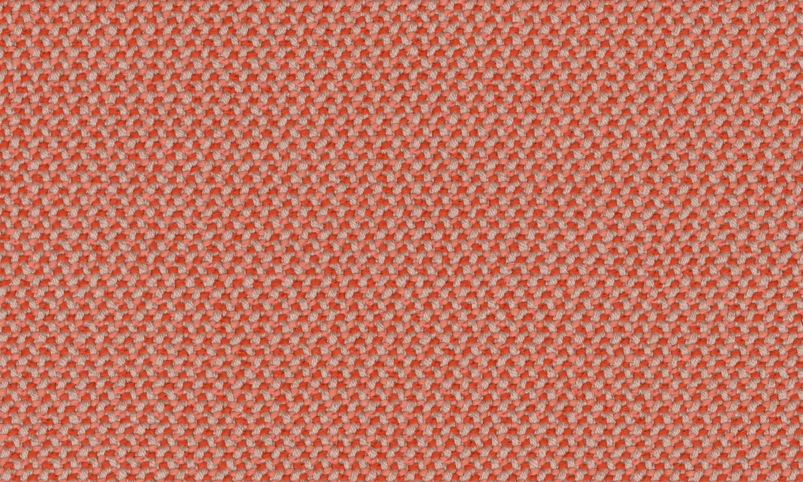 Prostoria Match Composition XL 06/R (103) - Credo (grapefruit)