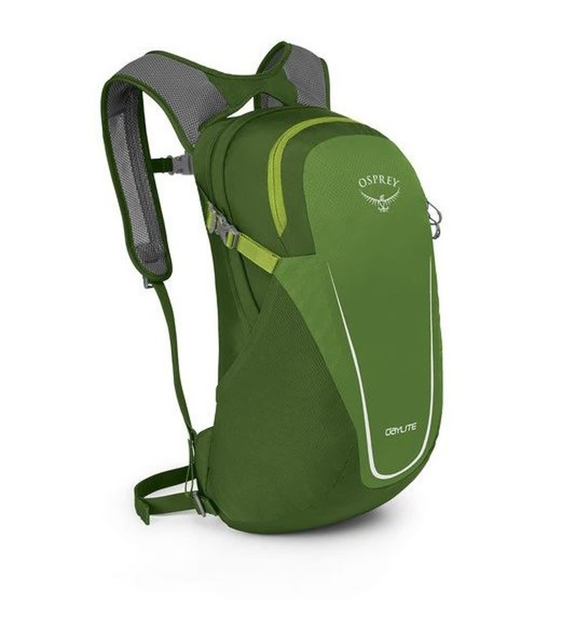 Amazon.com : Osprey Kyte 36L Women's Backpacking Backpack, Ice Lake Green,  WS/M : Sports & Outdoors