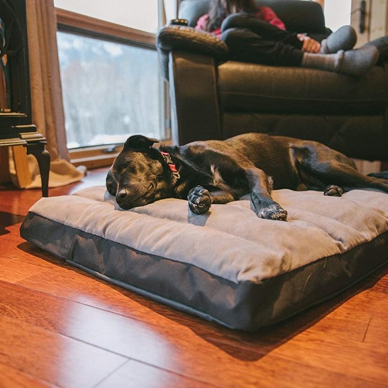 Ruffwear Ruffwear Recycled Foam Bed