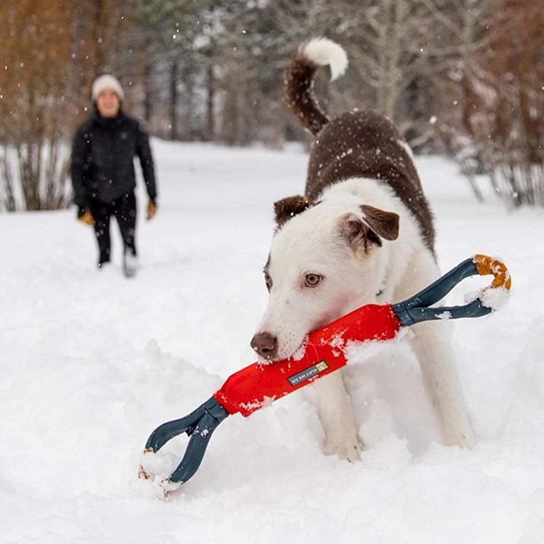 Ruffwear Ruffwear Pacific Loop Tug & Toss