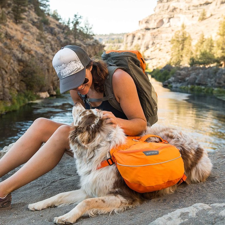 Ruffwear Ruffwear Approach Pack