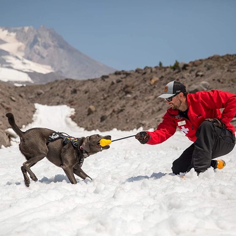 Ruffwear Ruffwear Huck-a-Cone