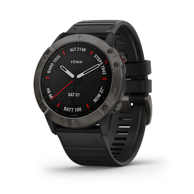 garmin fenix dog track