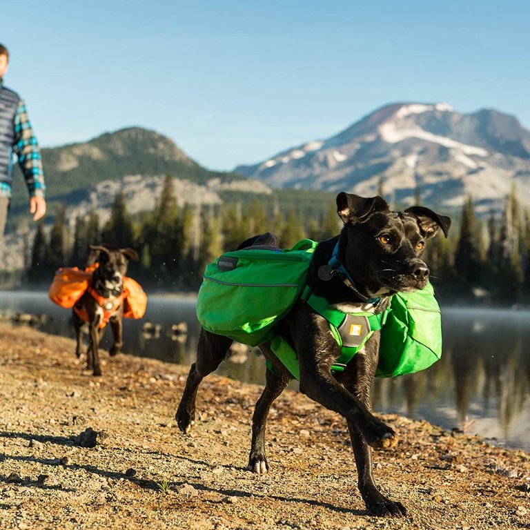 Ruffwear Ruffwear Approach Pack