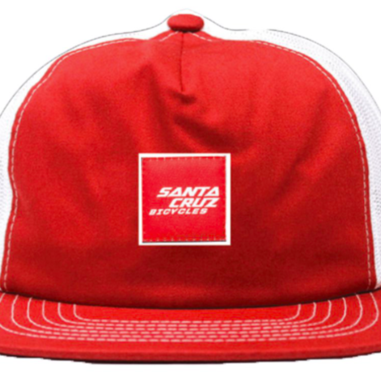 Santa Cruz Santa Cruz Hat King Trucker