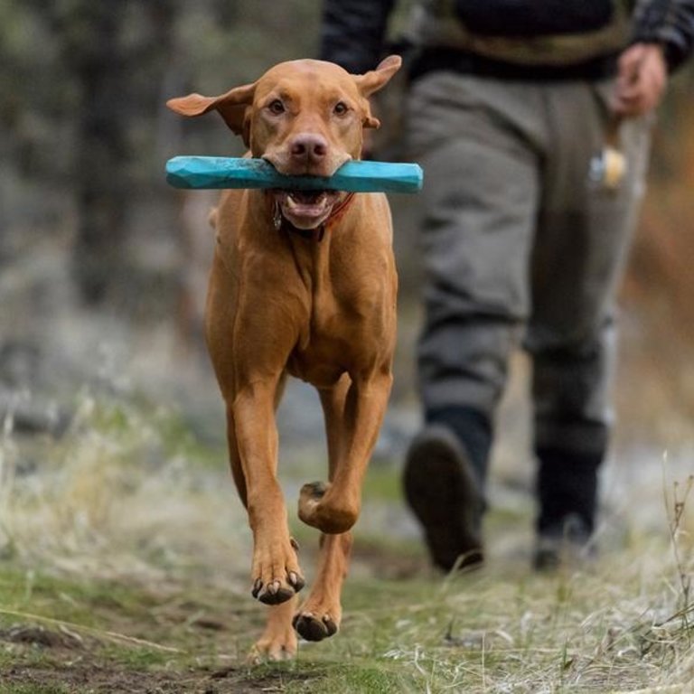 Ruffwear Ruffwear Gnawt-a-Stick