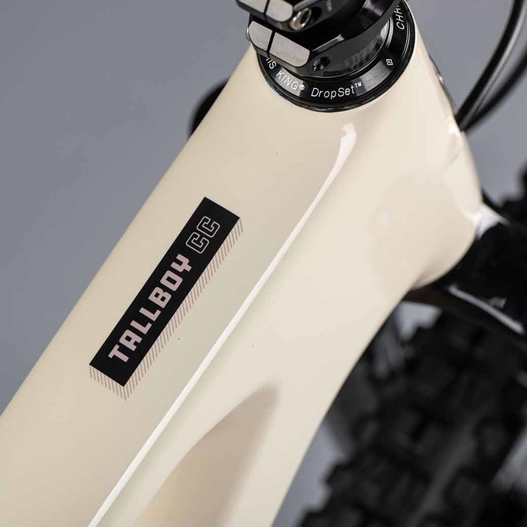 Santa Cruz Tallboy 4 | S-Kit | Carbon 