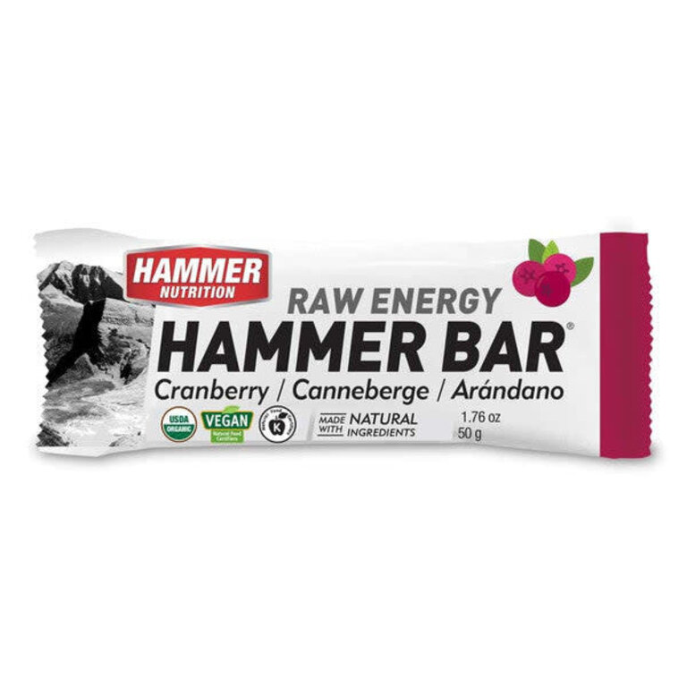 Hammer Nutrition Hammer Food Bar