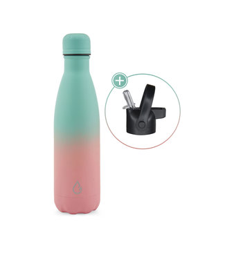 FLOW waterfles RVS mix blauw/roze 500 ml - dop met rietje