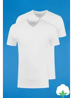 BASIC T-SHIRT  TWO-PACK V-HALS