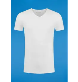 GARAGE BASIC T-SHIRT V-HALS