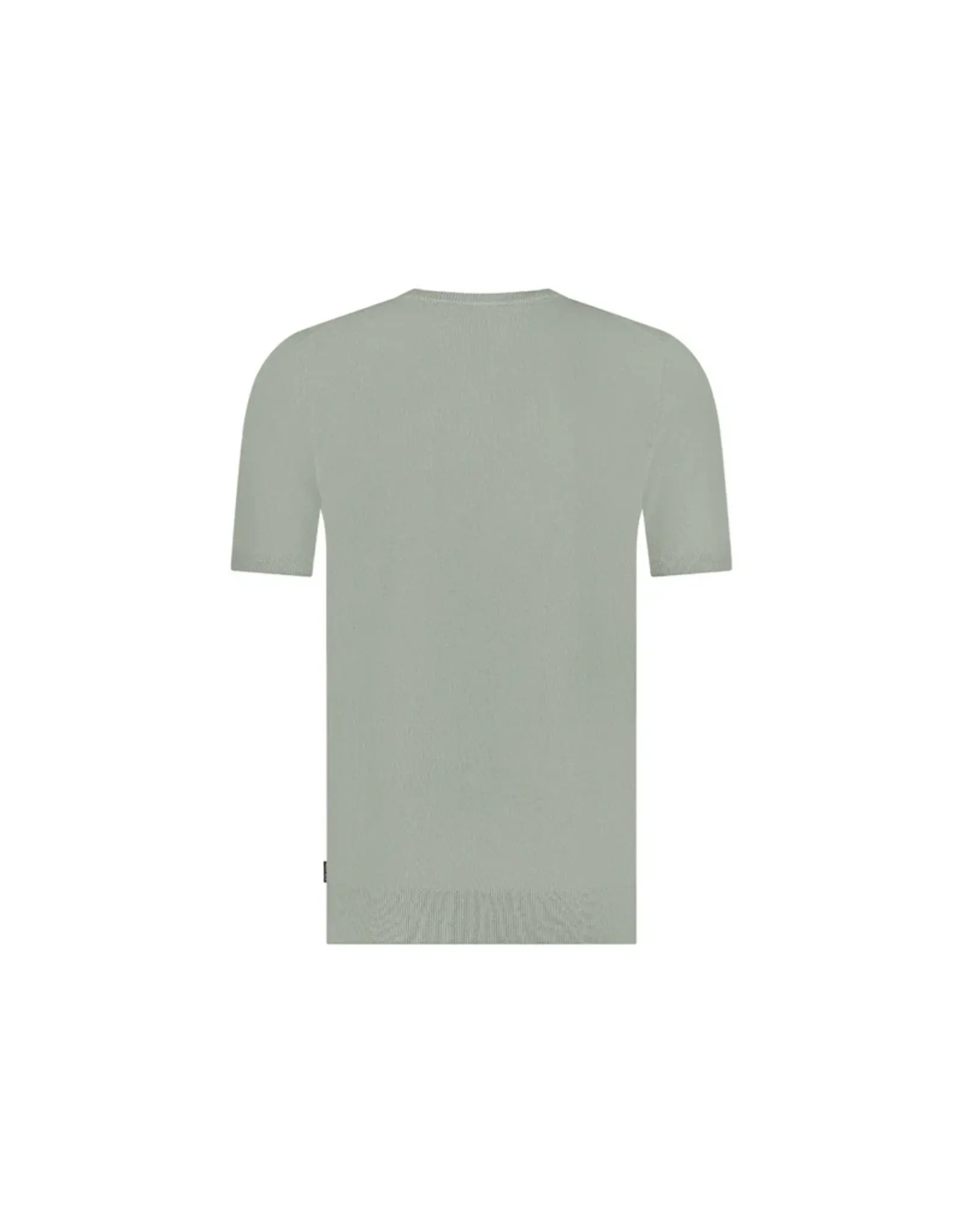 SAINT STEVE  WOUT-S CLOUDY GREEN