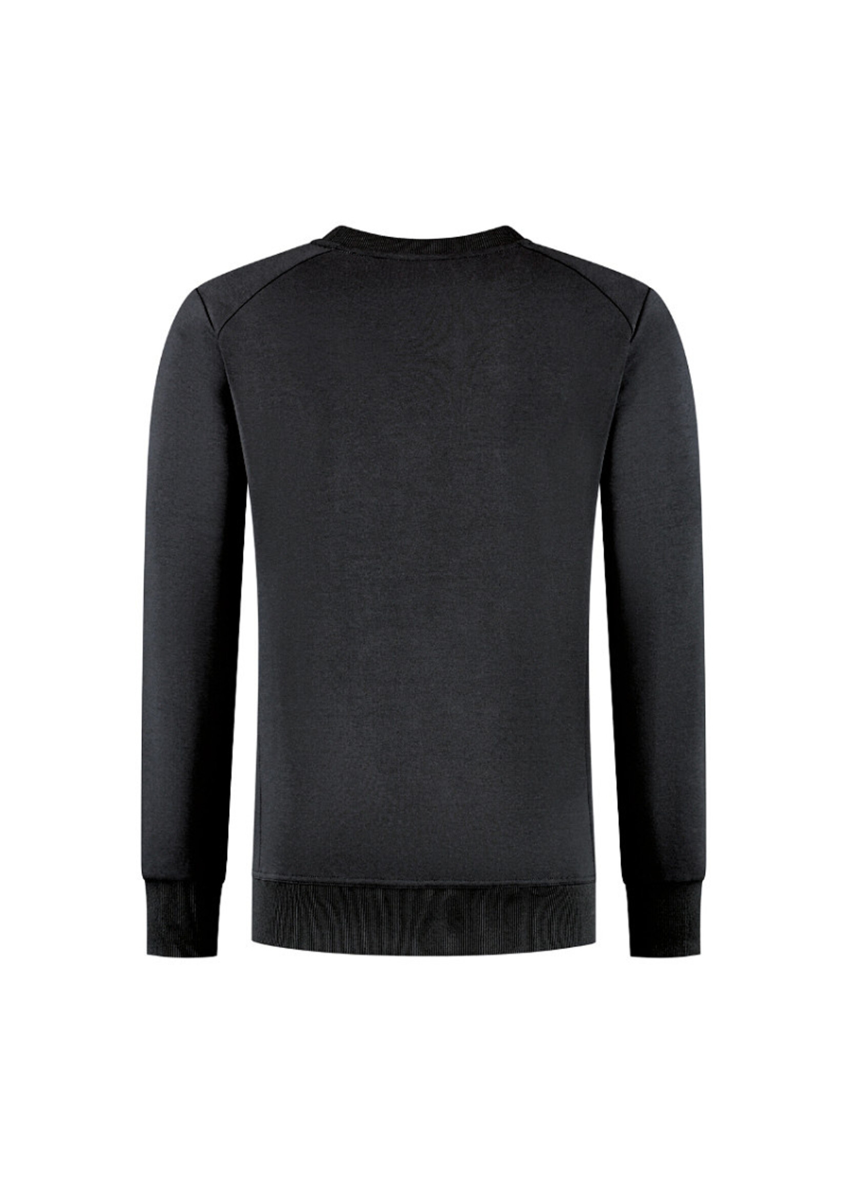 RAVAGE BEDRIJFSKLEDING Everywear Sweater BLACK