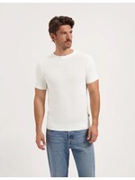 SAINT STEVE  HEIN WHITE