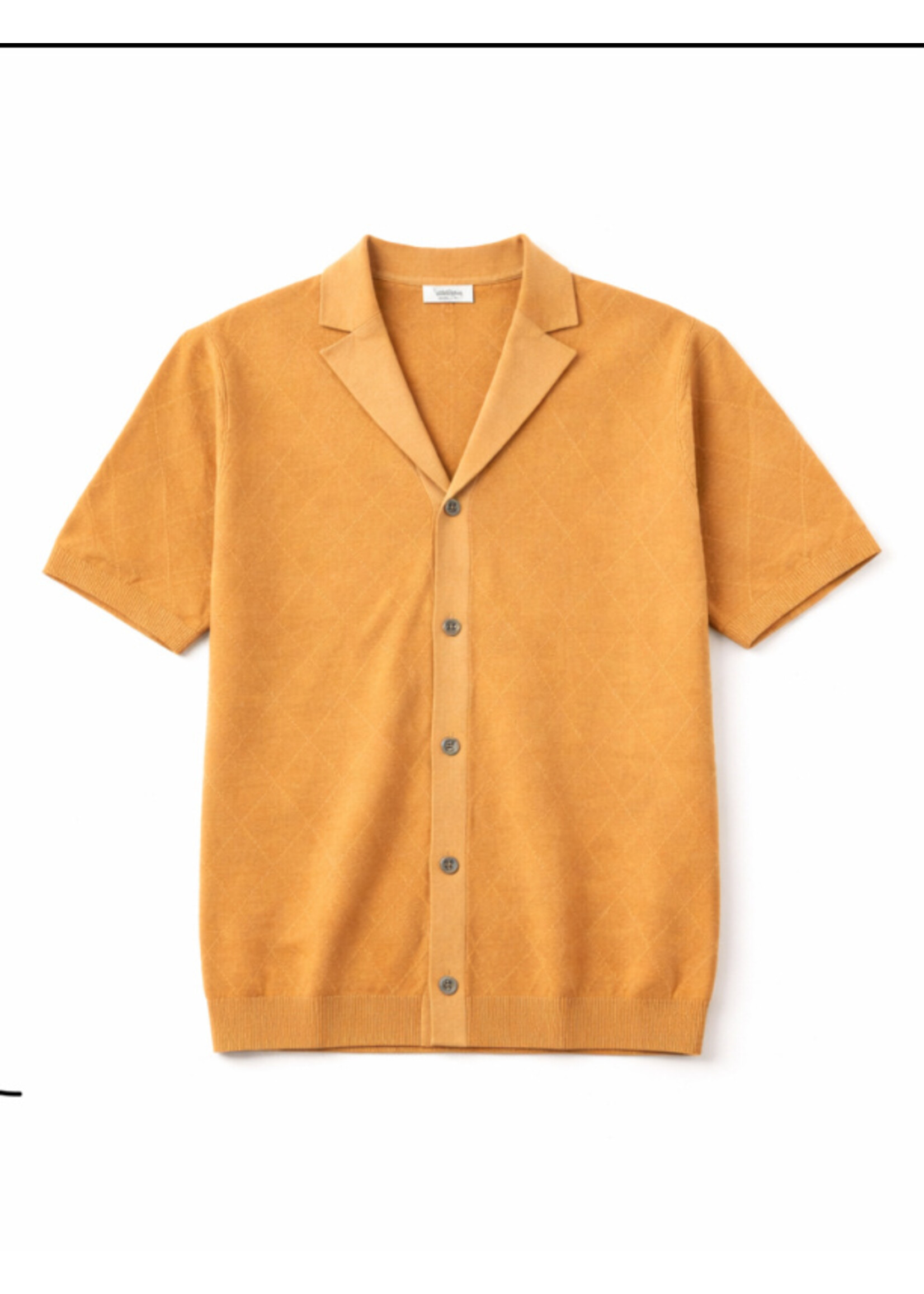 DIKTAT POLO BRUIN MET WERKJE