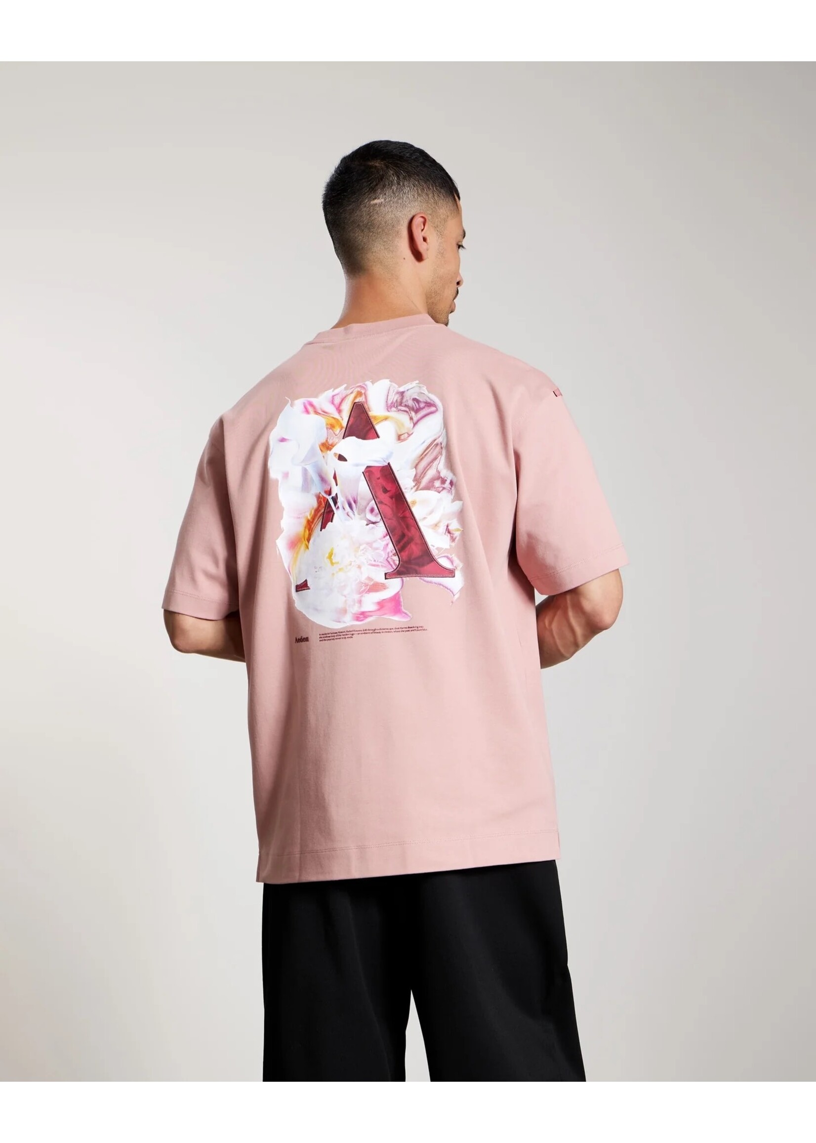 AEDEN EVANDER TEE | ASH ROSE