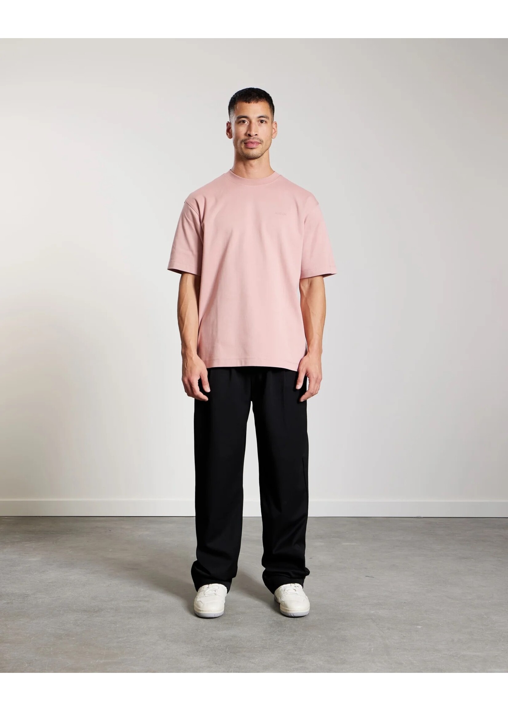 AEDEN EVANDER TEE | ASH ROSE