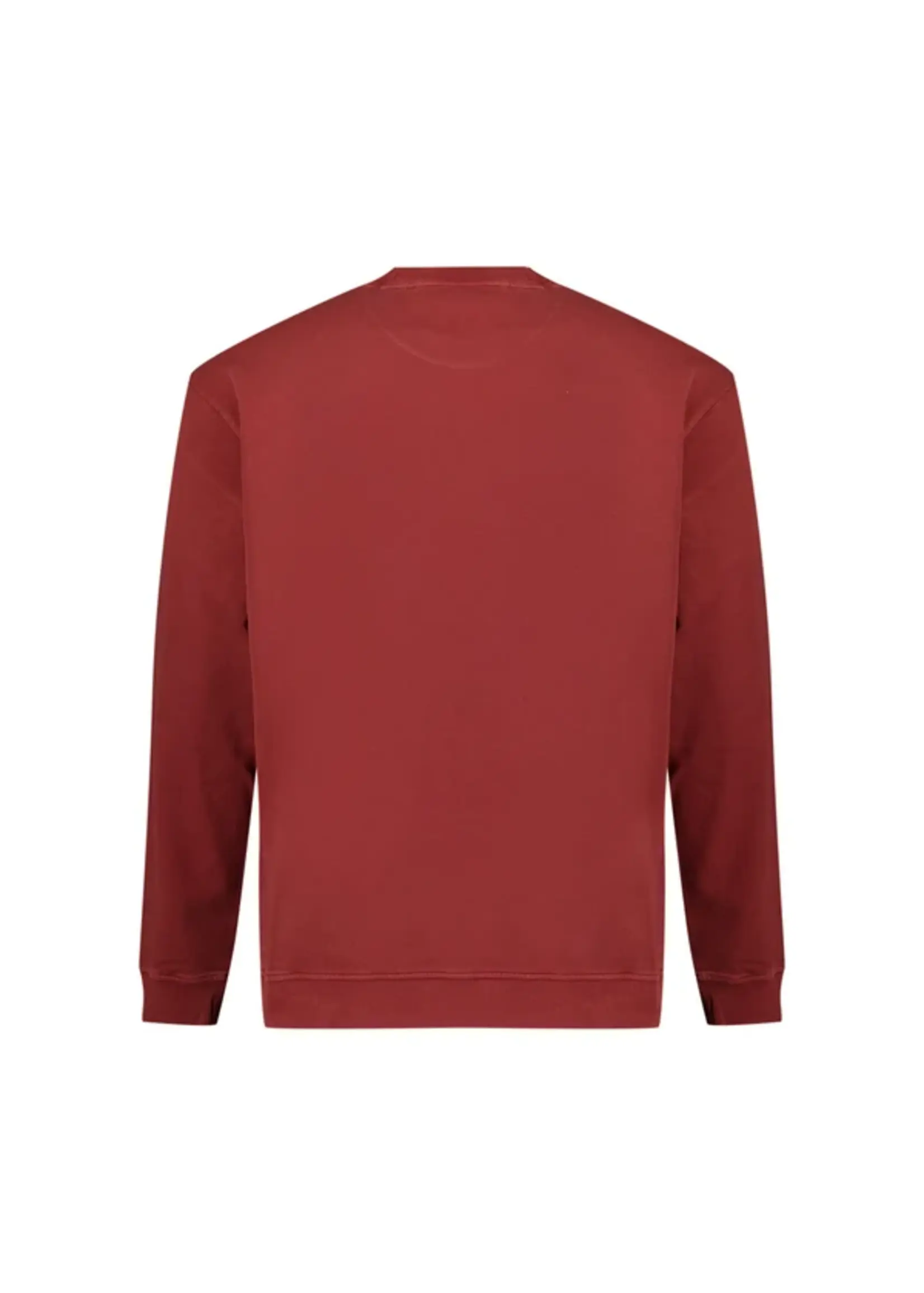 NO EXCESS  Sweater met Ronde Hals | Cayenne