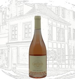 Via Caritatis VOX Rosé 2025