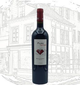 Bruno Andreu Pure Petit Verdot 2022