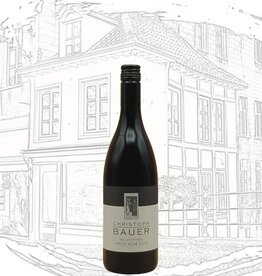 Weingut Christoph Bauer Pinot Noir - Ried Gerichtsberg 2020