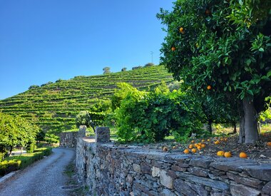 Quinta das Herédias