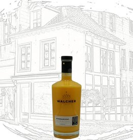 Distilleria Walcher Bombardino