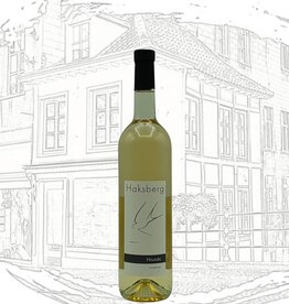 Haksberg Hirundo 2022-2023