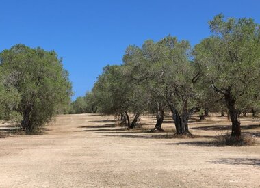 Puglia (Apulie)