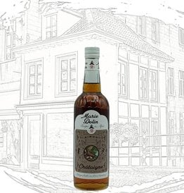 Dolin Sirop Châtaigne - 70 cl