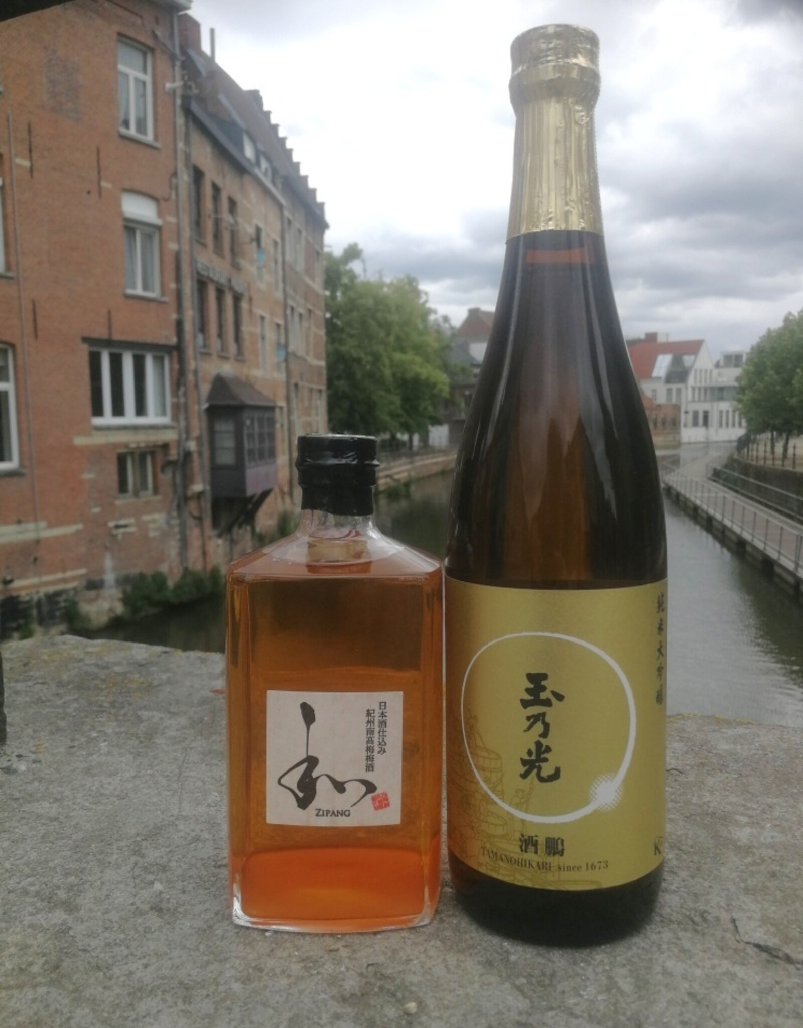 Tasting: Sake en Umeshu uit Japan