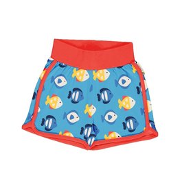 Maxomorra Runnershort, tropical aquarium (0-2j)