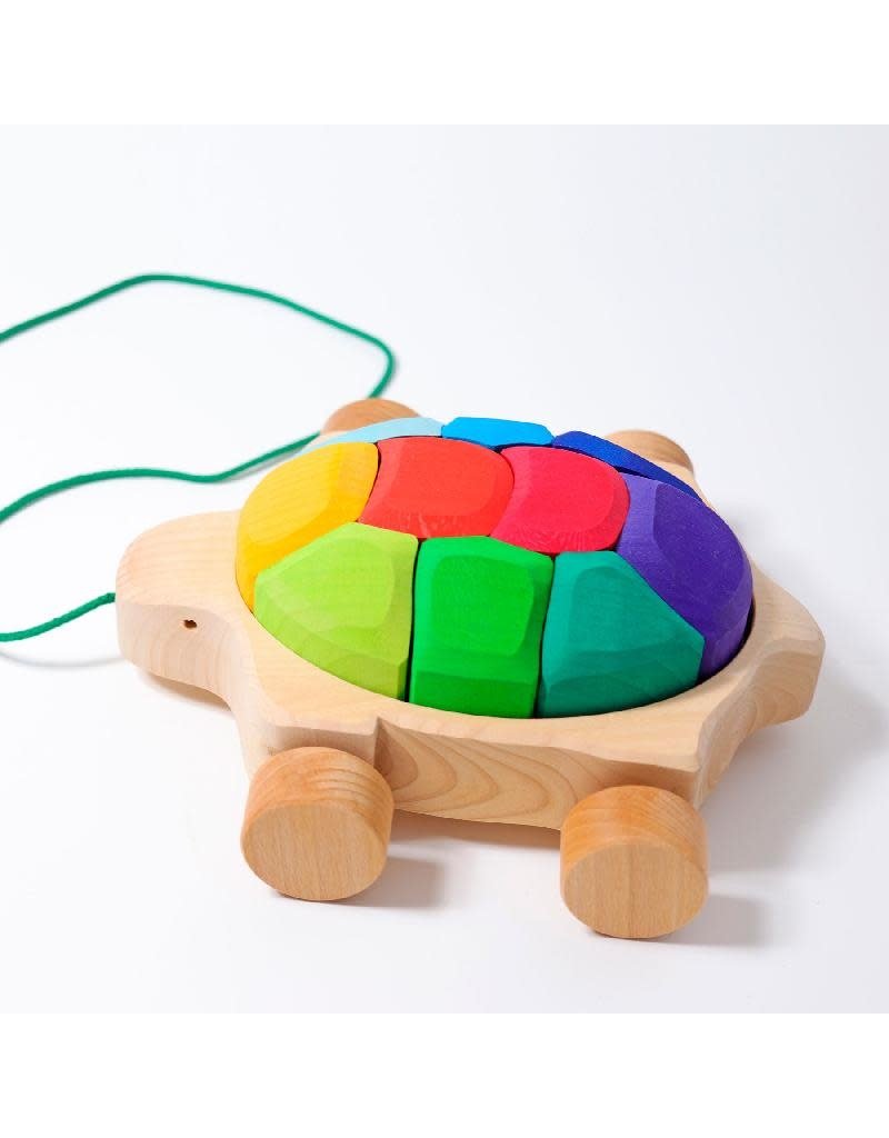 Grimm's Grimm's - Rainbow turtle