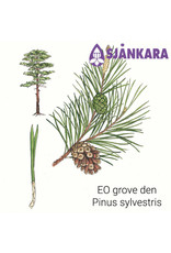 Sjankara Sjankara - Etherische olie grove den (Pinus sylvestris)