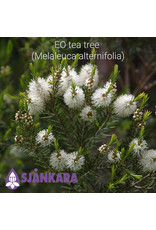 Sjankara Sjankara - etherische olie tea tree (Melaleuca alternifolia)