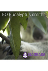 Sjankara Sjankara - etherische olie Eucalyptus smithii