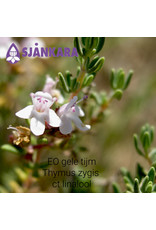 Sjankara Sjankara - Etherische olie, gele tijm (Thymus zygis ct linalool)