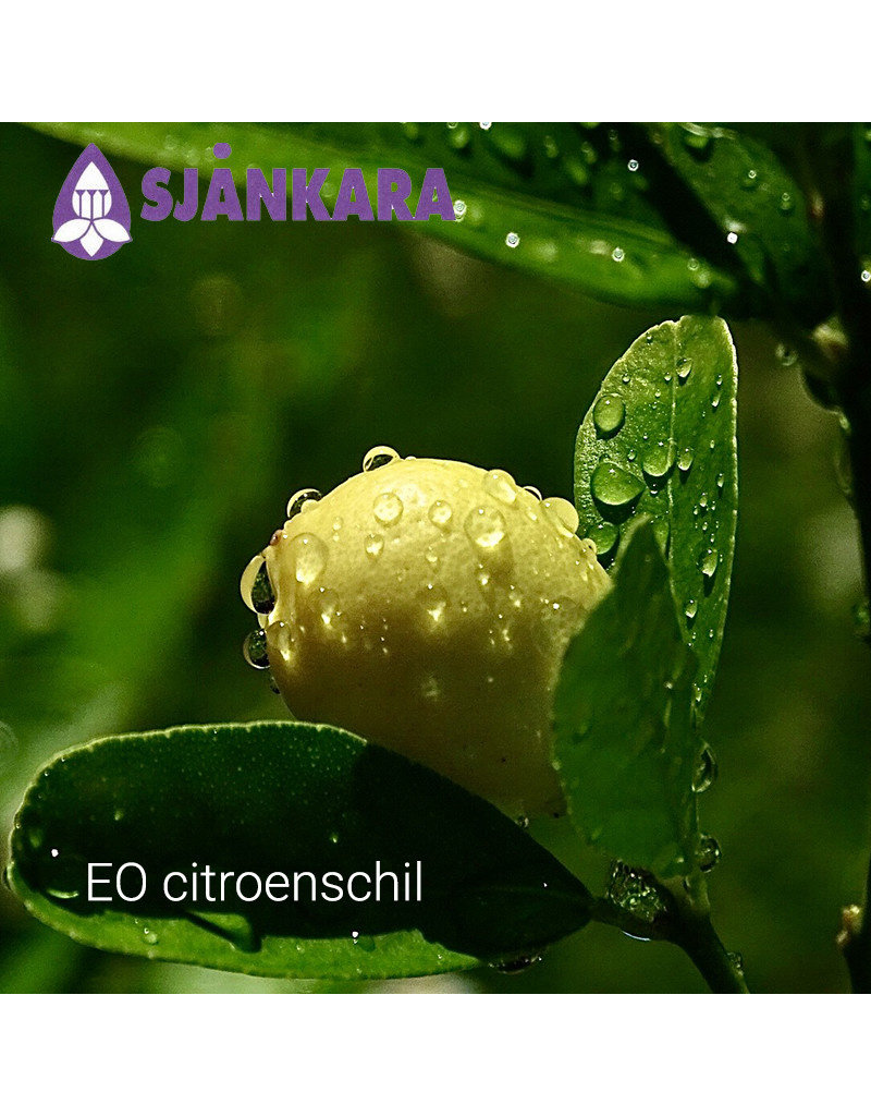 Sjankara Sjankara - etherische olie citroenschil (Citrus limon)