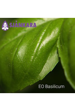 Sjankara Sjankara - etherische olie basilicum (Basilic ct methylchavicole)