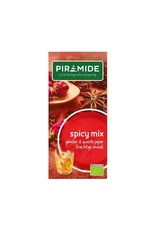 Piramide Piramide - Spicy mix, gember en zwarte peper, 20 zakjes