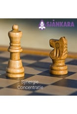 Sjankara Sjankara - Synergie, concentratie