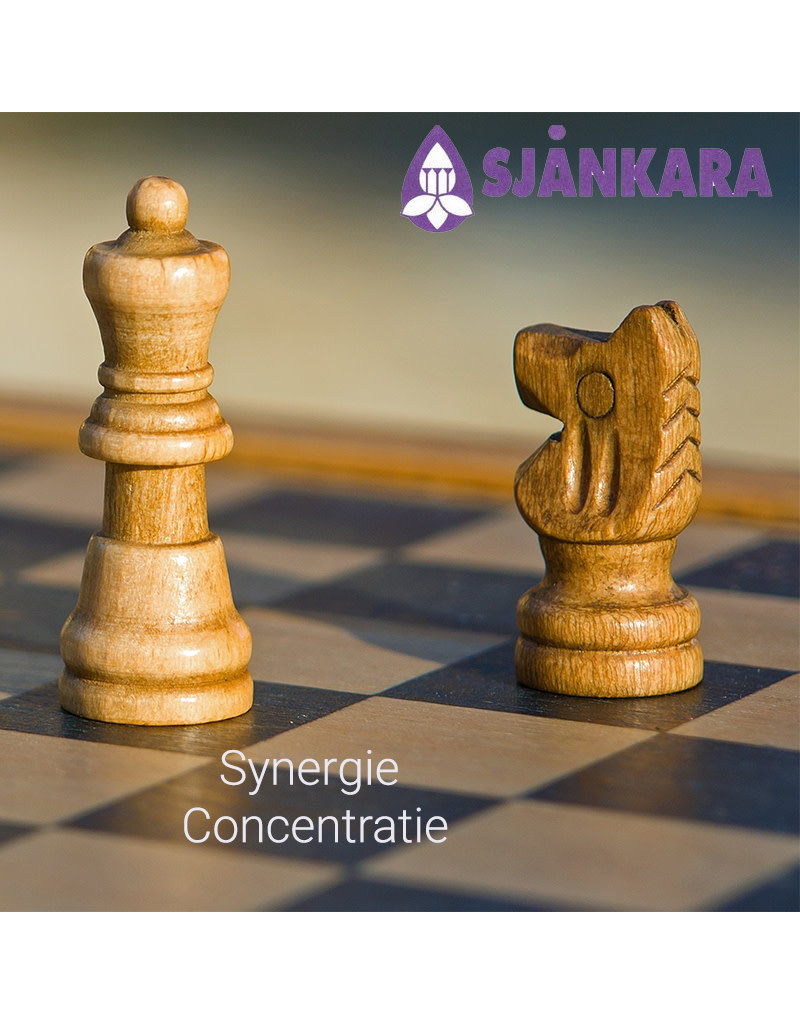 Sjankara Sjankara - Synergie, concentratie